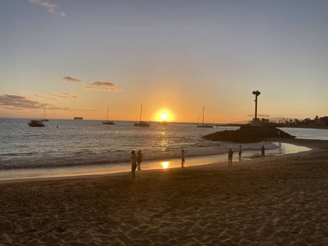 Photo 1 by Chris T. (11/7/24)