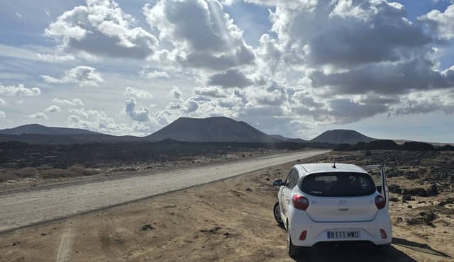 Photo by Elena R. (1/13/25)