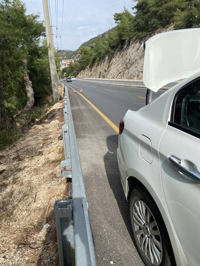 Photo by Andrew C. (11/21/25)