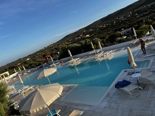 Photo by Antonio D. (8/23/24)