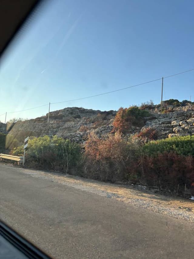 Photo by Oleksii F. (8/1/25)