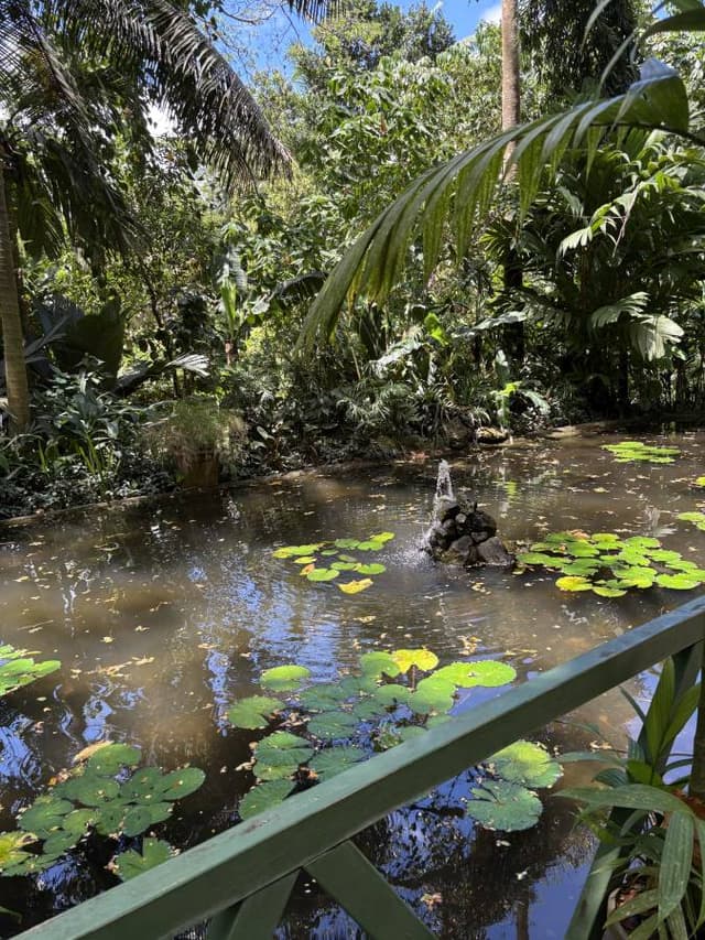 Photo 2 by Richard Y. (10/5/25)