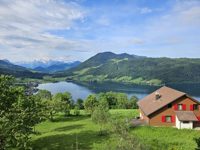 Photo 2 by Joe K. (6/2/25)