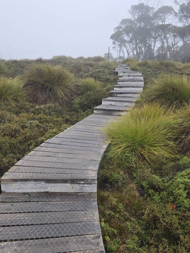 Photo 2 by Christine A. (4/29/25)