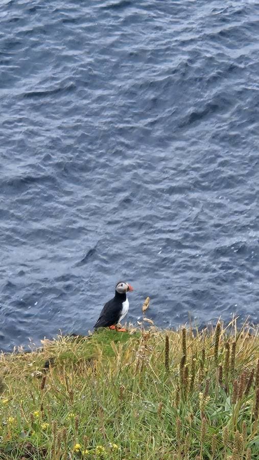 Photo 4 by Milos M. (7/17/25)