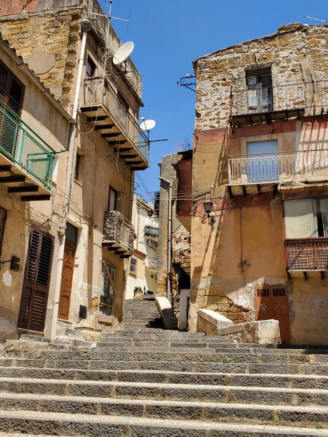 Photo 2 by Tracey B. (7/21/25)