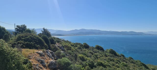 Photo 4 by Werner V. (4/22/24)