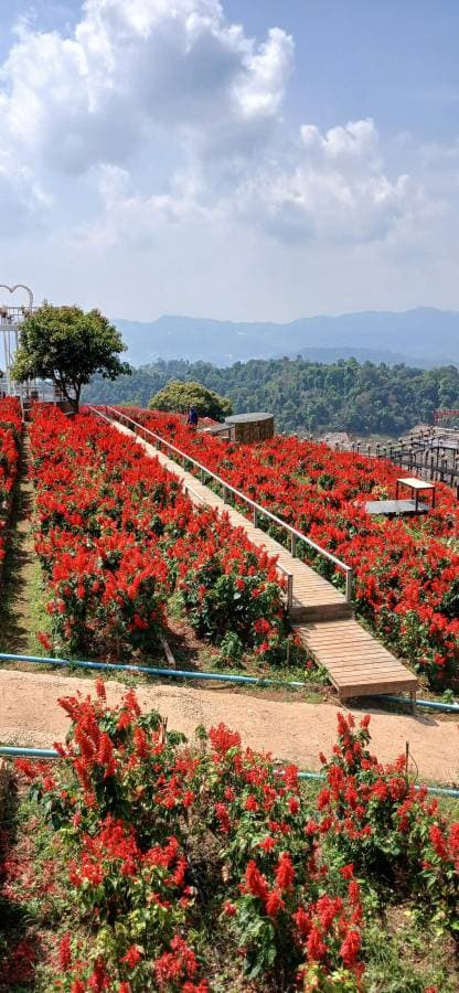 Photo 7 by steven M. (3/22/26)