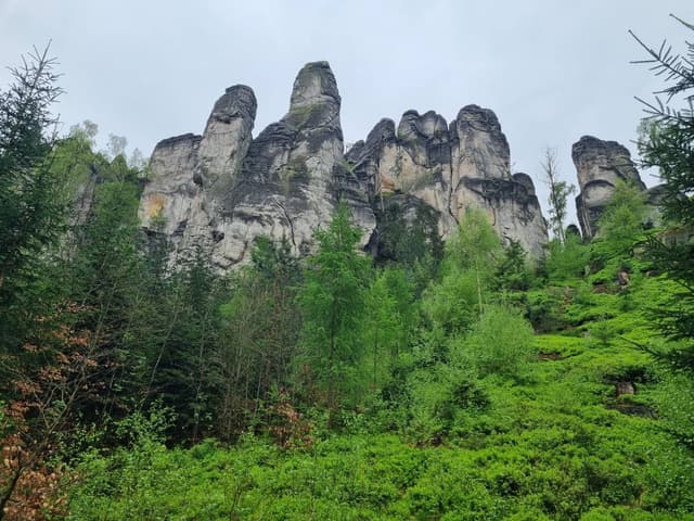 Photo 1 by Sagi A. (4/15/24)