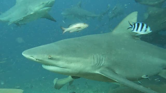 Photo 4 by Emily K. (6/13/25)