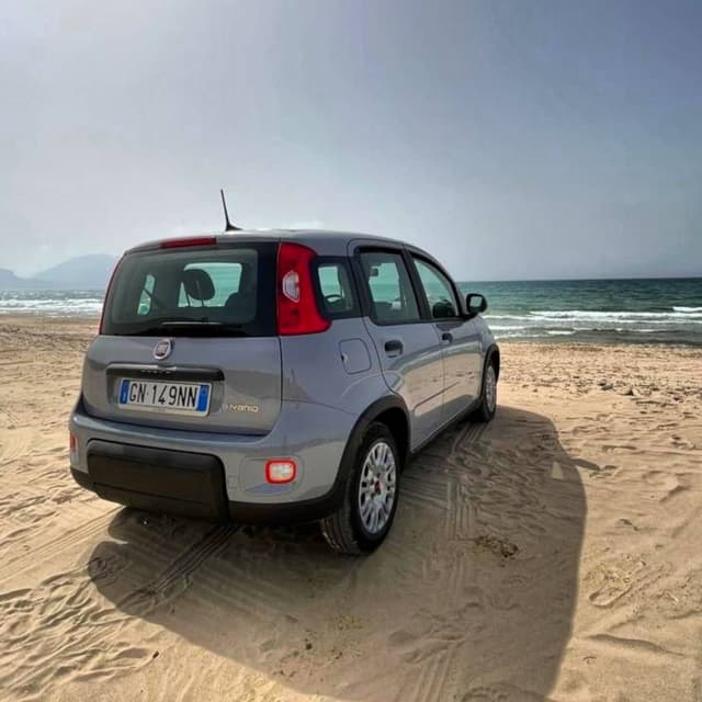 Photo 1 by Elisa M. (6/26/24)