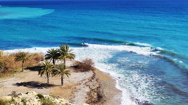 Photo 3 by Hardenberg V. (2/11/26)