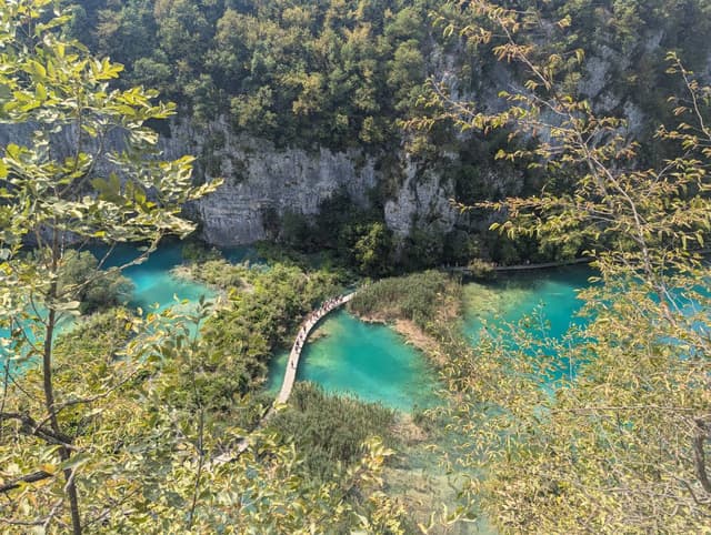 Photo by Elizabeth L. (8/18/24)