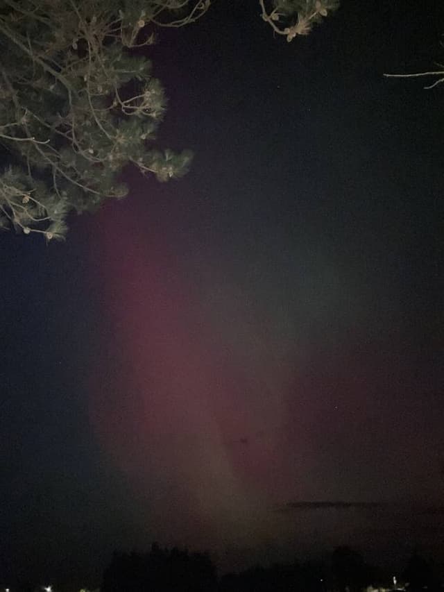 Photo 3 by Roy D. (10/26/24)