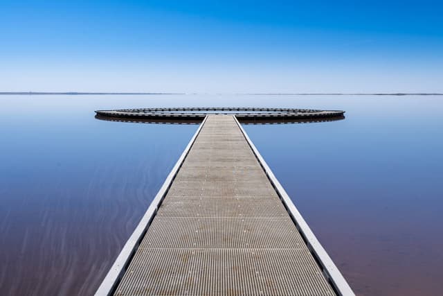 Photo by Andrew W. (3/20/26)