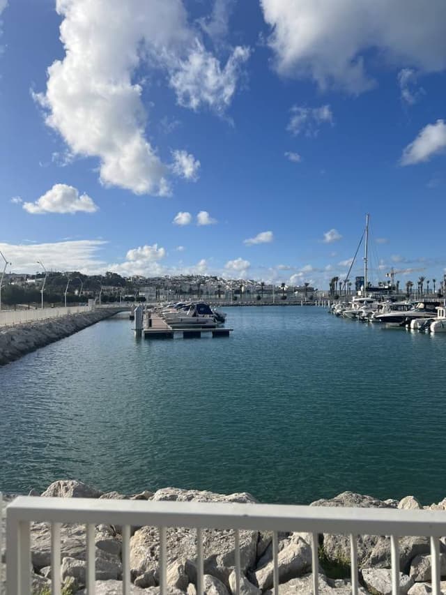 Photo 2 by Basman mohammed hadi A. (3/20/25)