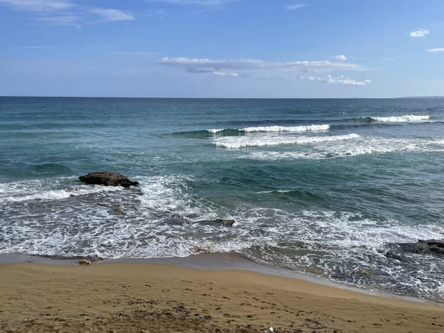 Photo by Lea J. (11/1/25)