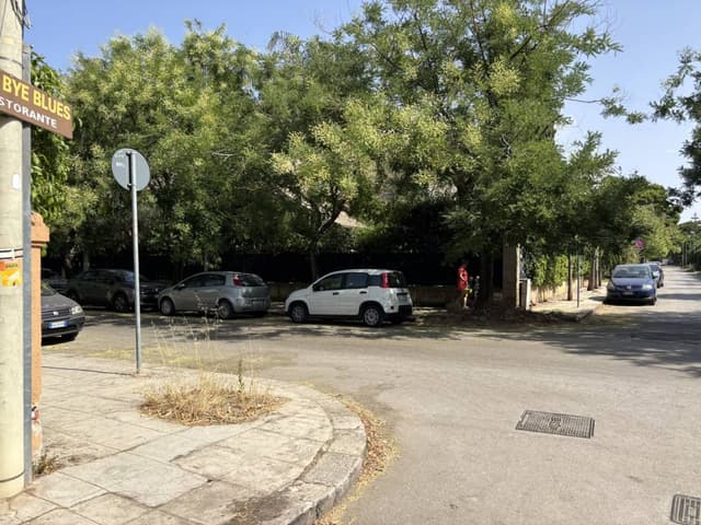 Photo 2 by Mikita H. (7/22/25)