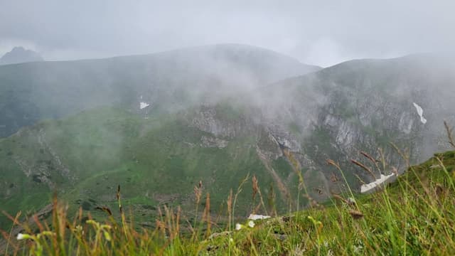 Photo 2 by Aleksandrs M. (7/13/24)