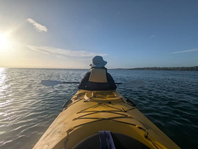 Photo 1 by Bruce D. (12/15/25)