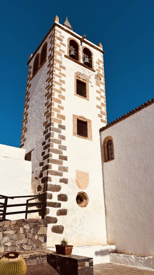 Photo 1 by Paul R. (4/15/25)