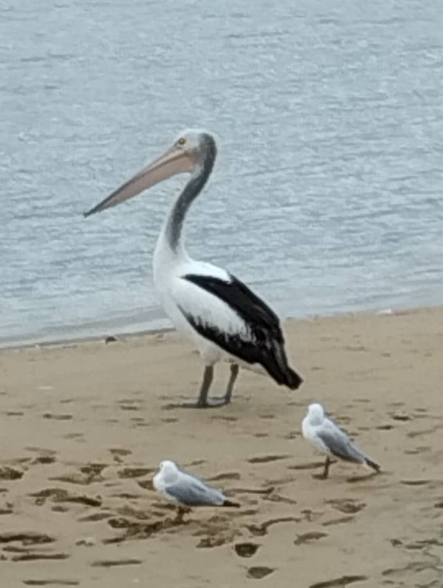 Photo 4 by Michael B. (4/22/24)