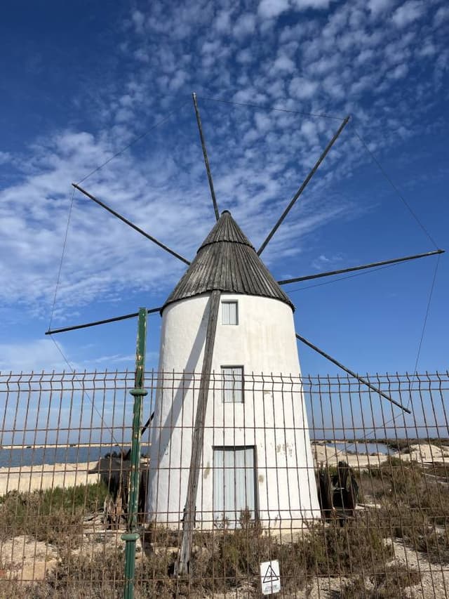 Photo 1 by Wayne F. (2/9/24)