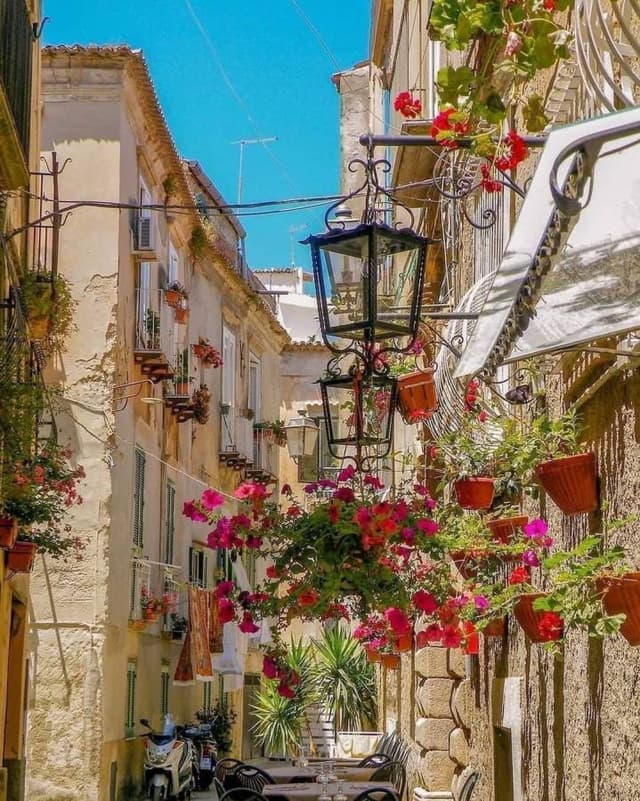 Photo 2 by Andrea G. (6/16/24)