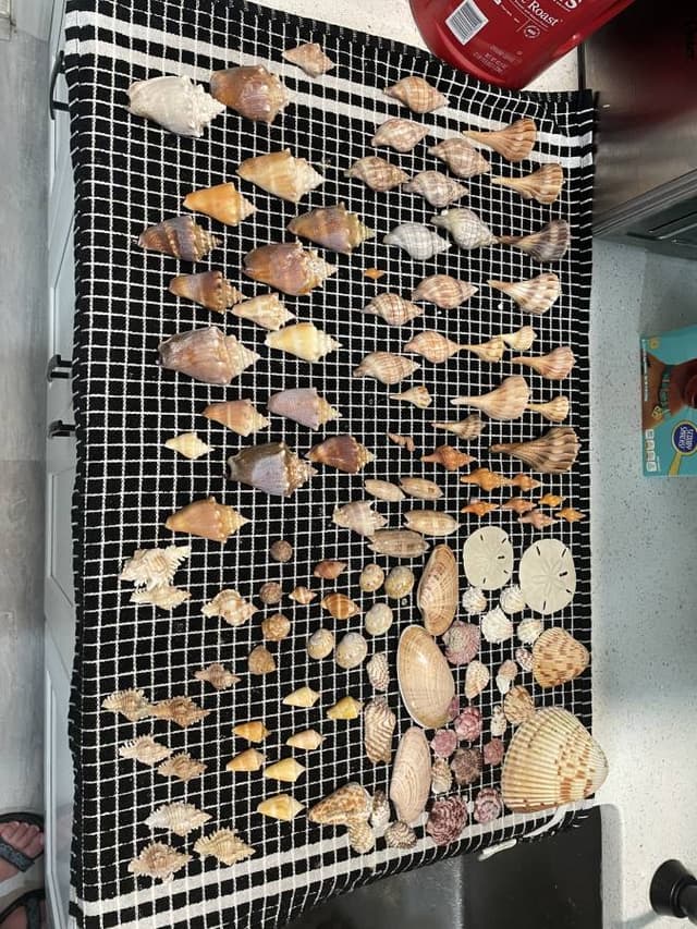 Photo by Claudio B. (11/21/23)