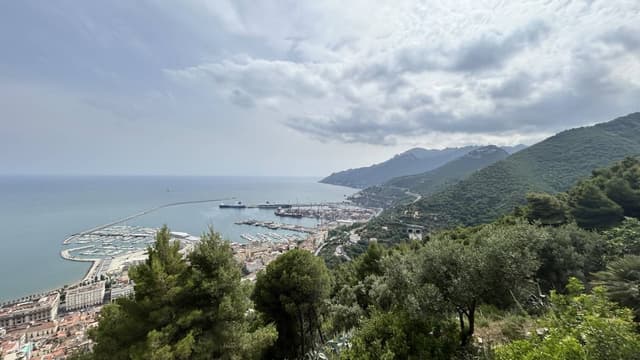 Photo 3 by gary C. (6/16/24)