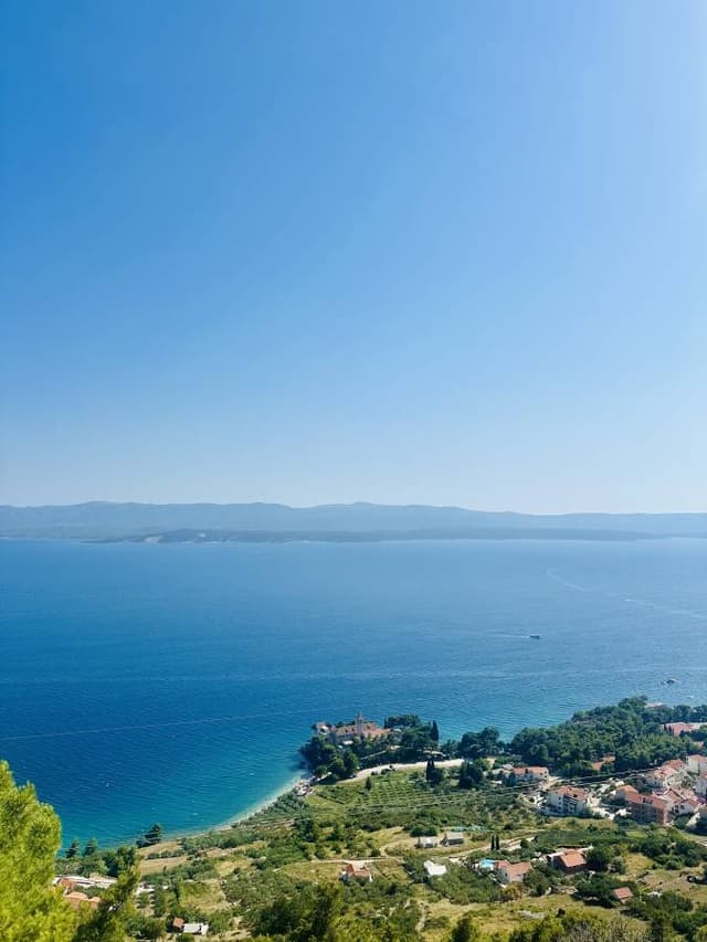 Photo 1 by Sara L. (7/12/24)