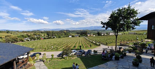 Photo 1 by Anthony W. (5/21/25)