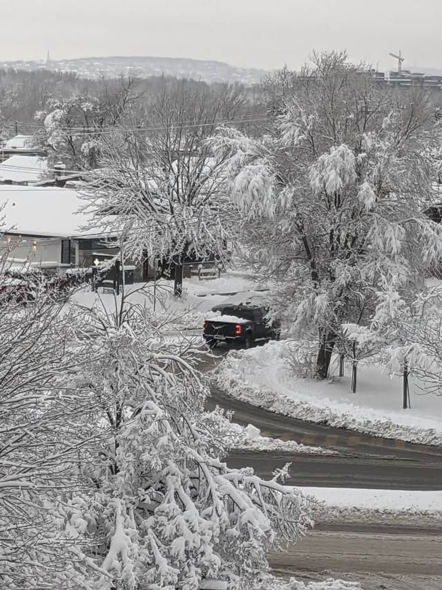 Photo 2 by Sandra D. (12/11/23)