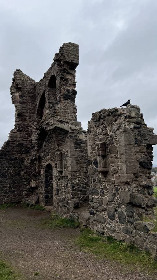 Photo 3 by Marina P. (11/1/22)