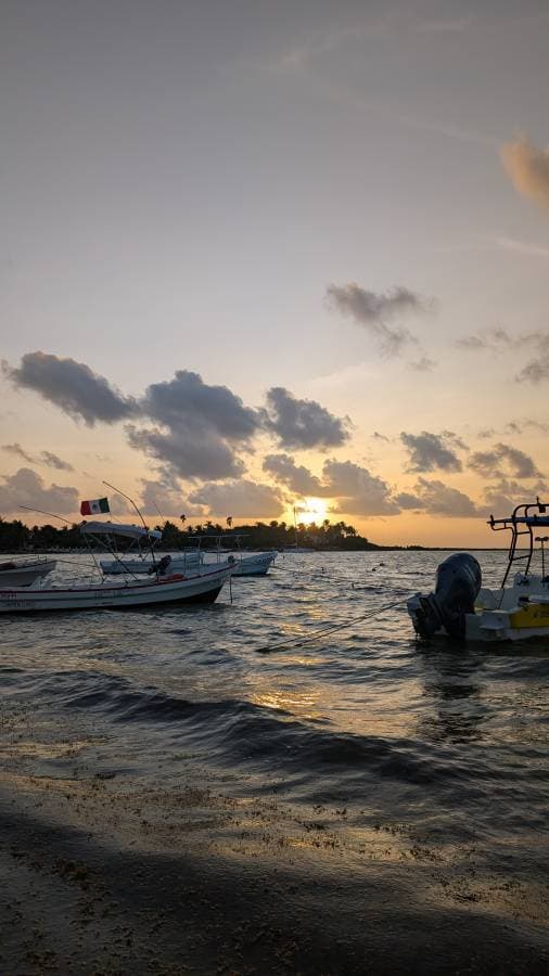 Photo by Christine B. (8/25/25)