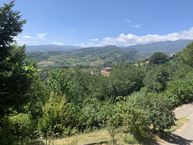 Photo 2 by Robert B. (8/5/23)