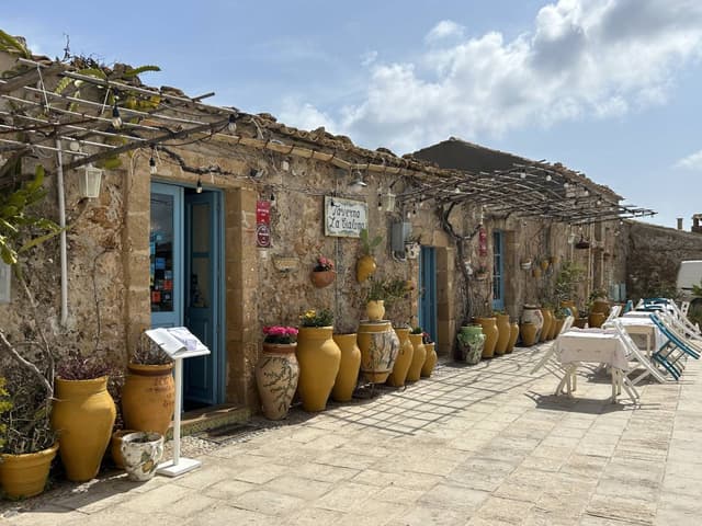 Photo 3 by Ralph C. (3/12/26)