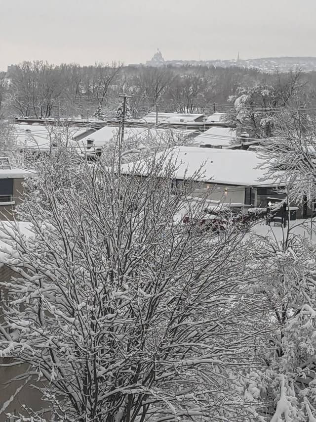 Photo 3 by Sandra D. (12/11/23)