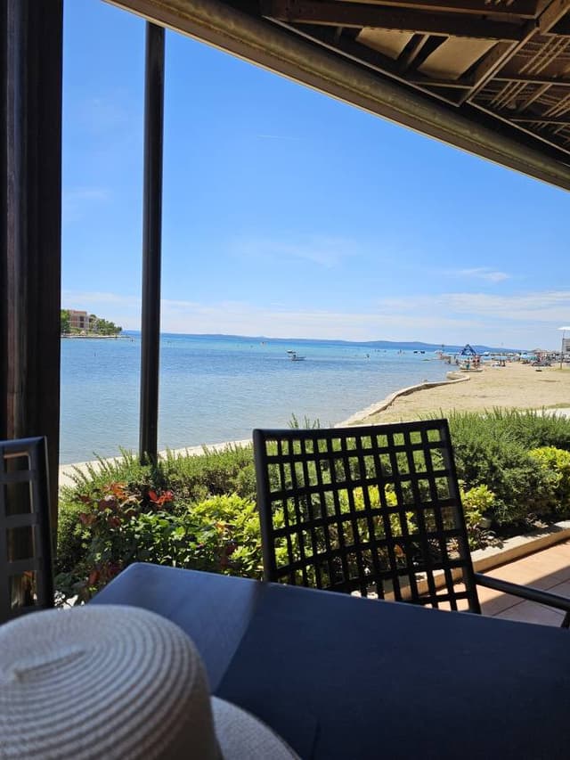 Photo 1 by Anzhela A. (7/11/24)