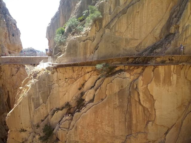 Photo by Henk B. (7/9/24)