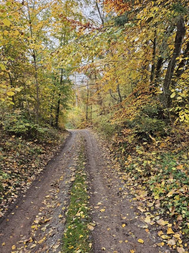 Photo 2 by Tomasz G. (11/12/23)