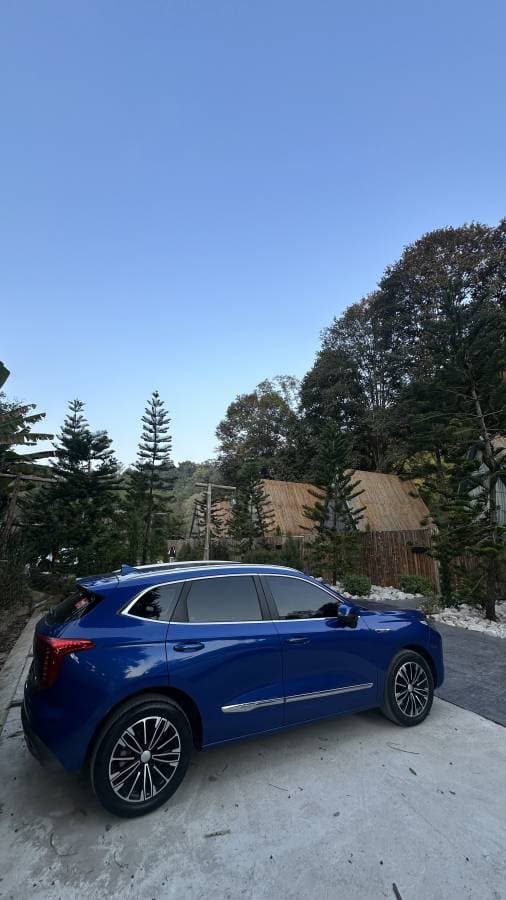 Photo by Elad B. (2/3/25)