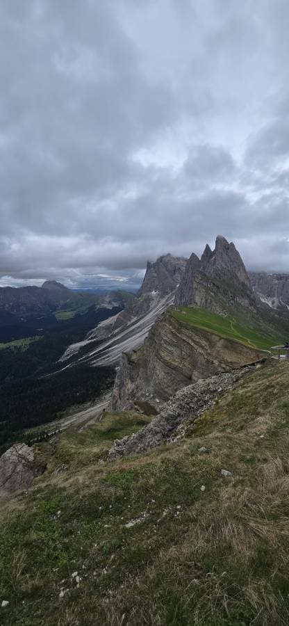 Photo by Algimantas J. (6/18/25)