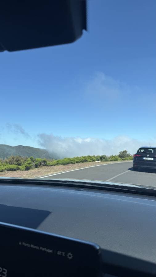 Photo 2 by Martha K. (6/28/25)