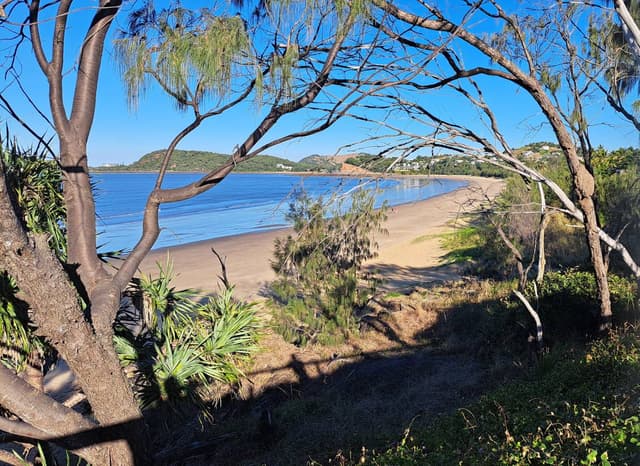 Photo by Peter V. (5/15/23)