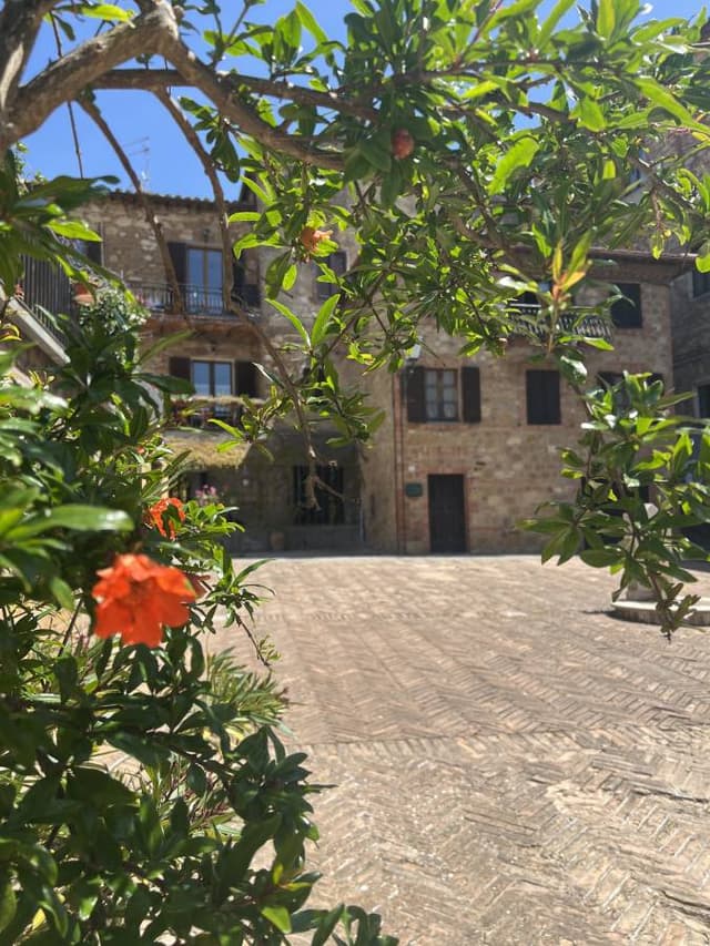 Photo 2 by Cristian M. (6/4/25)