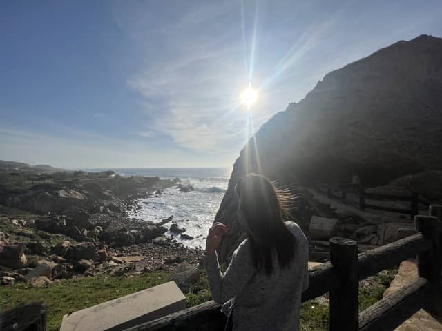 Photo 1 by Waleed A. (3/16/23)