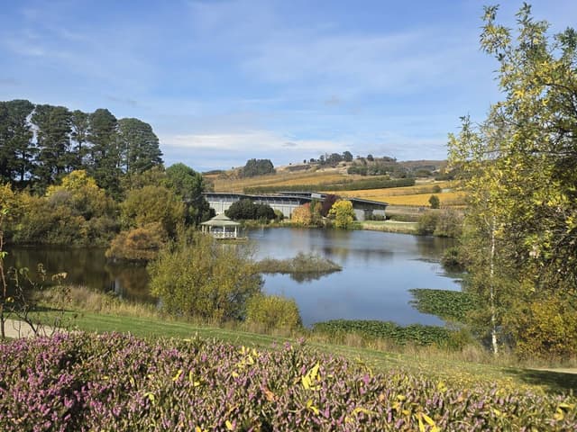 Photo 3 by Christine A. (4/29/25)