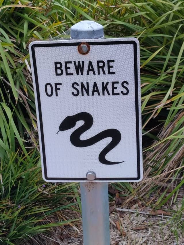 Photo 5 by Michael B. (4/22/24)