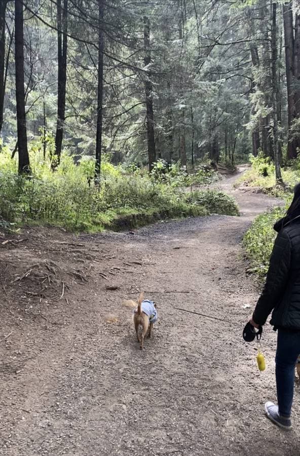 Photo 2 by Jennifer E. (1/23/24)